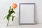 Silver frame mockup with orange-apricot rose in glass vase