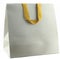 Silver gift bag with golden rope handle