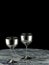 Silver goblets