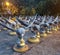 Silver and gold like color metal big birds flock on the ground in Thailand