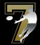 Silver and Golden Sevens Rugby Emblem on Black