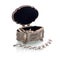 Silver jewelry box and necklace isolated