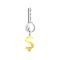 Silver key with golden dollar sign shape keyring