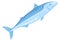 Silver mackrel. Atlantic ocean fish. Traditional trawl symbol