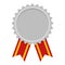 Silver Medal Award Flat Icon on White