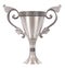 Silver metal trophy isolated