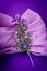 Silver mystic topaz feather pendant brooch