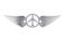 Silver Pilot Wing Emblem, Badge or Logo Symbol. 3d Rendering