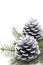 Silver Pine Cones