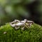 Silver ring in the shape of lizzard on green moss background