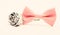 Silver rose flower and male bow tie isolated on white. Wedding accessories. Elegant look. Esthete detail. Modern formal