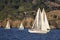 Silver Sail Boats on San Francisco Bay