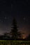 Silver spruce on the background of the starry sky