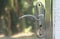 Silver stainless door handle of various doors