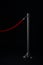 Silver stanchions with a red rope