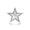 Silver star with diamonds on white background