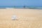 Silver starfish, star on sand beach with sea water background. Vacation concept.