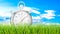 Silver stopwatch, chronometer on green grass. 3D rendering