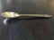 Silver tablespoon