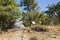 Silver Tent in the Green Bush on a Sunny Summer Day in the tourist camping