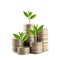 Silver Thailand coins stack isolated and green treetop.