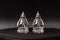 Silver tipped crystal salt and pepper shakers
