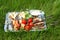 Silver tray with different food for picnic