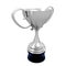 Silver trophy cup