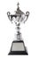 Silver trophy isolated on white background. Winning awards.