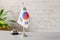 Silver vintage bell with national flag of South Korea on reception desk with copy space. Hotel service. Travel, tourism.