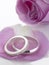 Silver Wedding Rings Resting On Rose Petals