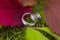Silver or white gold or platinum wedding rings
