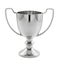 Silver Winning trophy on white
