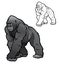 Silverback Gorilla Illustration