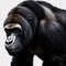 The silverback gorilla is isolated on a white background.
