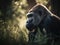 Silverback gorilla resting in tall grass. Close-up portrait.