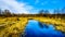 The Silverdale Creek Wetlands, a freshwater Marsh and Bog near Mission, British Columbia, Canada