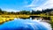 The Silverdale Creek Wetlands, a freshwater Marsh and Bog near Mission, British Columbia, Canada