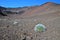 Silversword plant in Haleakala Crater - Maui