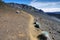 Silversword Plant, Haleakala National Park