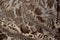 silvery-brown background, fabric,