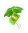 Sim card under green umbrella.