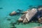 Similan islands, Thailand. Tropical landscape. Landmark of Thailand