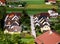 Similar house roofs over view