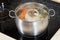 Simmering chicken soup with seasoning vegetables