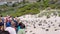 Simonstown, South Africa - January 27, 2020: Tourist at the look out at Boulder Beach observe the Penguine colony