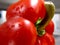 Simpal Organic Close Up Red Bell pepper