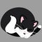 Simple and adorable black and white cat sleeping flat colored