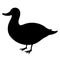 Simple and adorable Duck illustration in silhouette