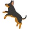 Simple and adorable flat colored illustration of Doberman Pinscher jumping